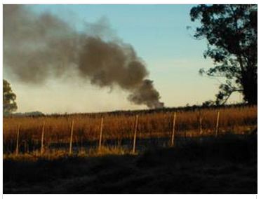 humo la dulce digital