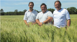 g almassio la dulce digital A pleno sol. Leandro Sackman (izq.), Gustavo Almassio (ctro.) y Leonardo Herrera Vegas, en un lote de trigo en Miramar.
