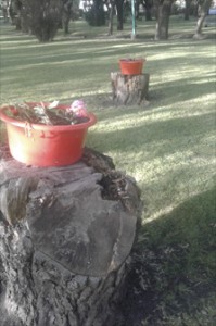 plaza-medio-ambiente