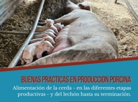 Charla para productores porcinos