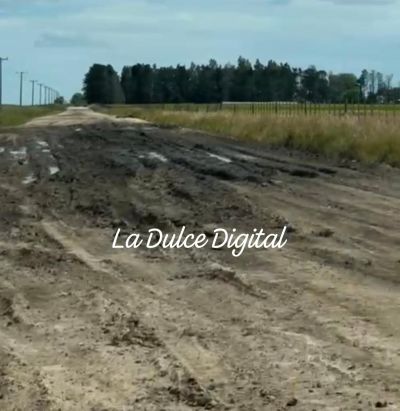 Solicitada. Caminos Rurales del Partido de Necochea