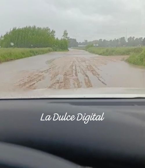 Solicitada II. Caminos rurales del Partido de Necochea