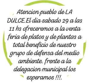 Feria de platos y plantas!!!