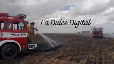Intensa actividad de Bomberos en los últimos días