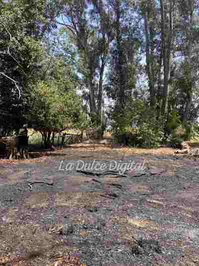 Intensa actividad de los Bomberos en los últimos dos días