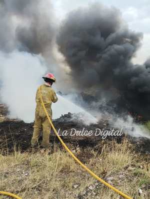 Tres incendios desde ayer en La Dulce
