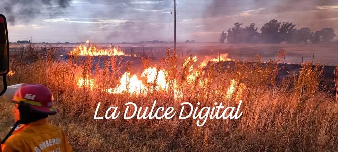 Incendio en banquina