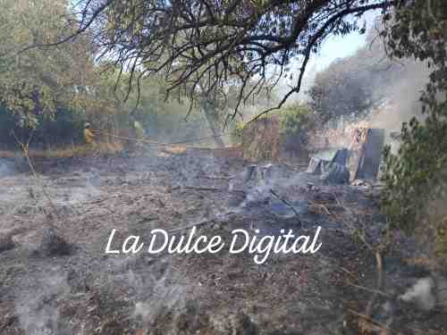 Nuevo incendio de pastizales