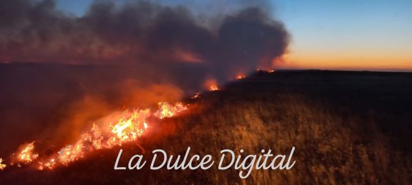 Incendio forestal en Ruta 86