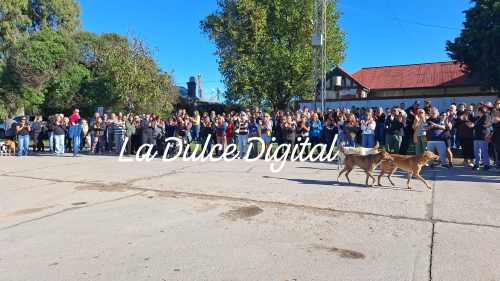 Perestiuk: ofrecemos 5 millones de sueldo a médicos pero no quieren venir a La Dulce