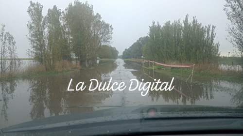 Ruta 85. Circular con precaución