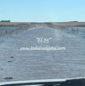 Continúna los reclamos por el estado de los caminos